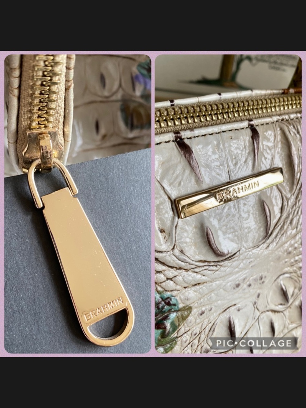 ๐ด๐๐พ EXOTIC and GORGEOUS ACADIA OMBRE CAROLINE Satchel by Brahmin - Picture 9 of 13